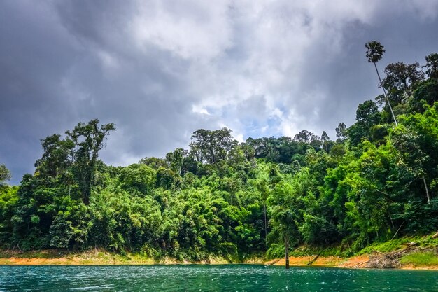 Scenic view of trees against sky