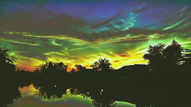 Scenic view of trees against sky