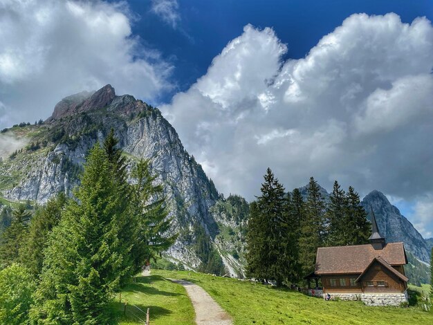 Scenic view of trees and buildings against sky