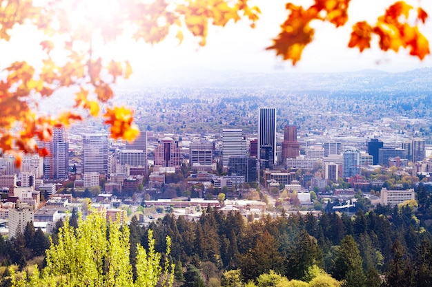 scenic view of trees and buildings in city against sky