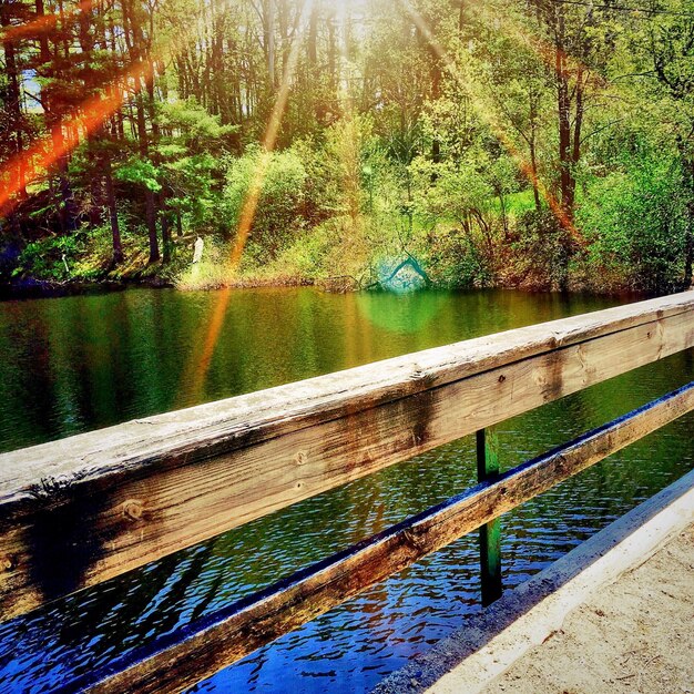 Photo scenic view of trees by river