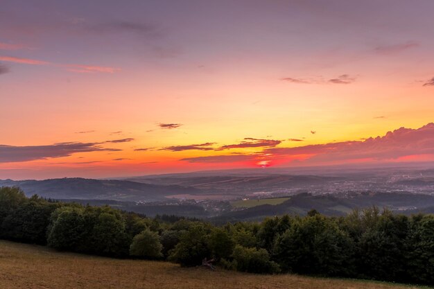 Foto vista panoramica degli alberi sul campo contro il cielo romantico al tramonto