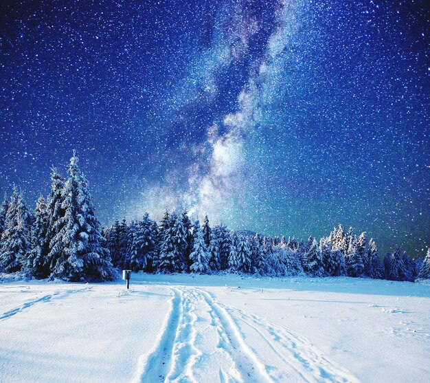 Photo scenic view of trees on field against sky at night