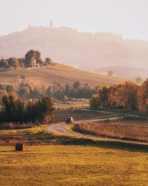 Foto vista panoramica degli alberi sul campo contro il cielo