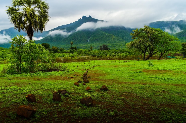 फोटो scenic view of trees on field against sky