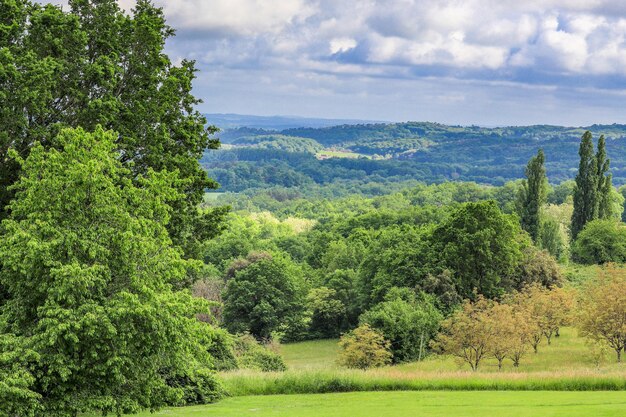 Foto vista panoramica degli alberi sul campo contro il cielo