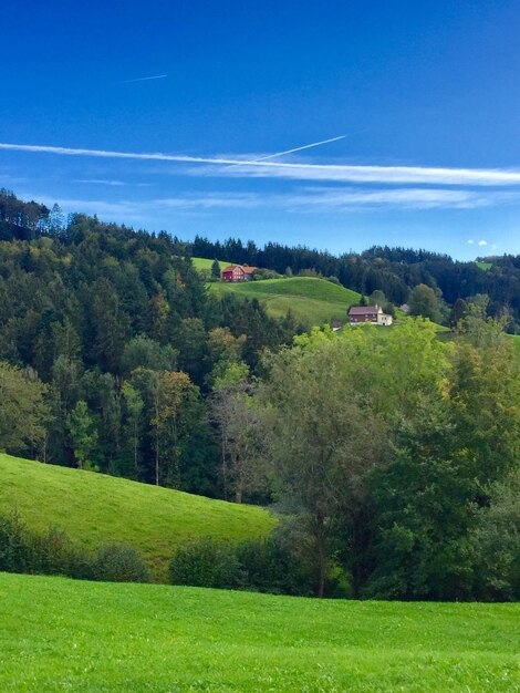 Photo scenic view of trees on field against sky