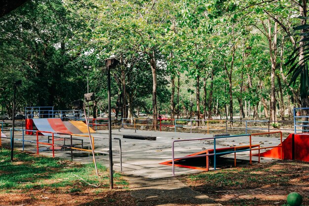 Scenic view of trees in forest