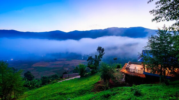 Scenic view of trees and houses against sky