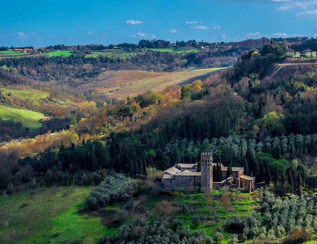 Foto veduta panoramica degli alberi e delle case sulla terraferma