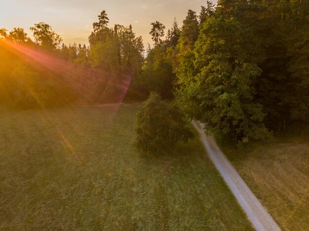 Scenic view of trees on land against sky