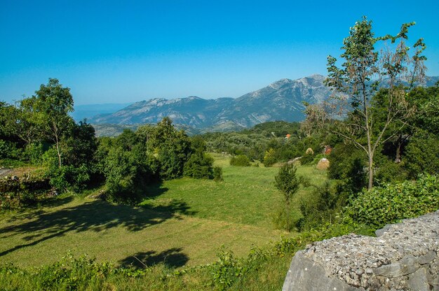 Photo scenic view of trees and mountains against clear blue sky