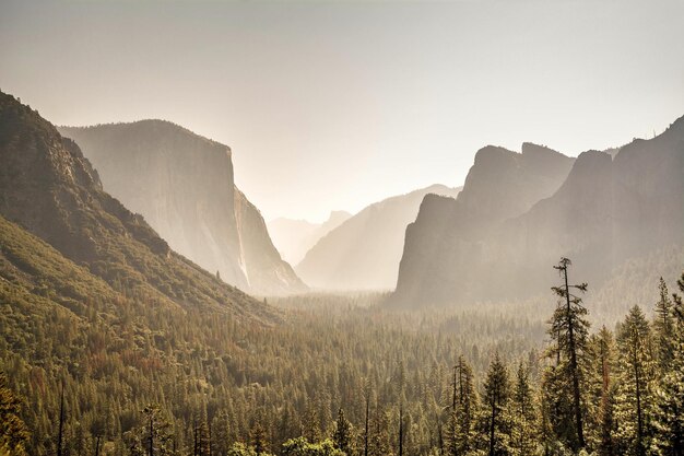 Photo scenic view of trees and mountains against clear sky during foggy weather