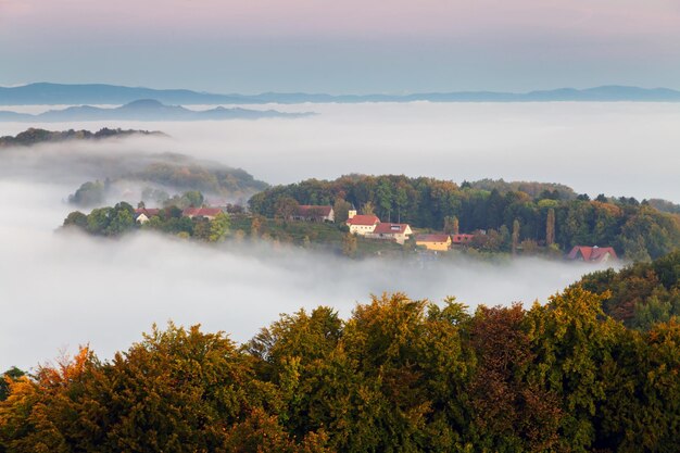 Foto la vista panoramica degli alberi e delle montagne contro il cielo