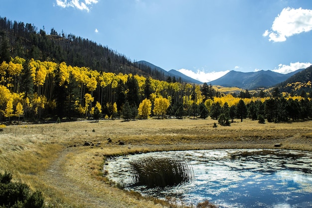 Scenic view of trees and mountains against sky