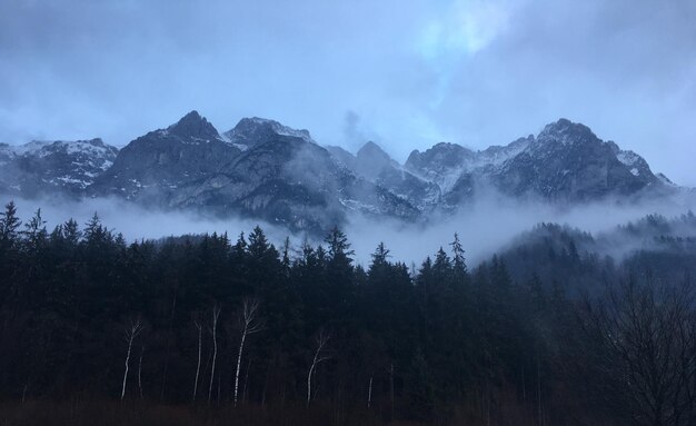 Photo scenic view of trees and mountains against sky