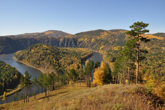 Foto la vista panoramica degli alberi e delle montagne contro il cielo