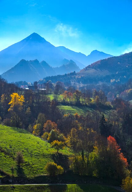 Scenic view of trees and mountains against sky