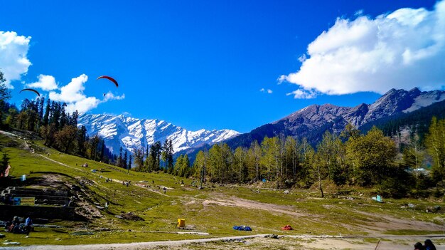 Scenic view of trees and mountains against sky