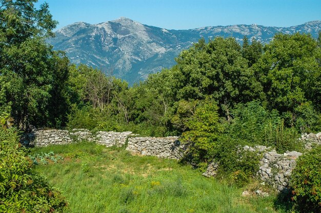 Photo scenic view of trees and mountains against sky