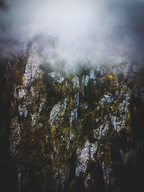 Photo scenic view of trees and rocks against sky