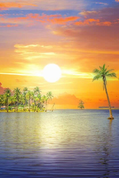 Scenic View of tropical Island with coconut trees and beautiful sunset sky