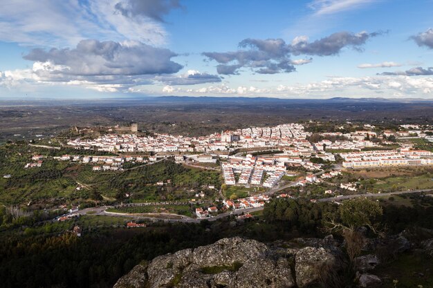 Foto la vista panoramica della vigna contro il cielo