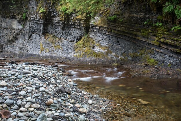 Foto la vista panoramica dell'acqua che scorre tra le rocce