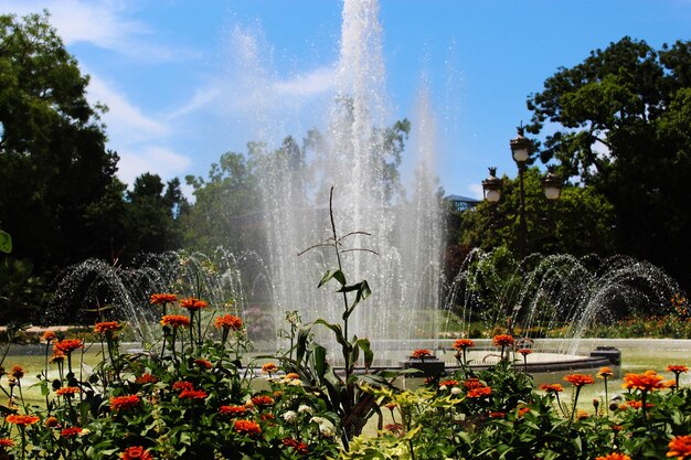 Foto vista panoramica della fontana d'acqua nel parco contro il cielo