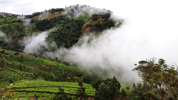 Photo scenic view of waterfall against sky