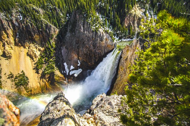 Photo scenic view of waterfall by rocks and trees in forest