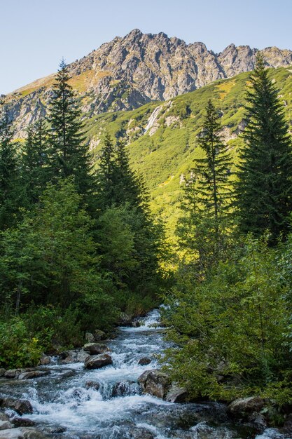 Foto vista panoramica di una cascata nella foresta contro il cielo