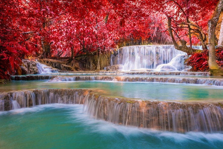 Photo scenic view of waterfall in forest during autumn