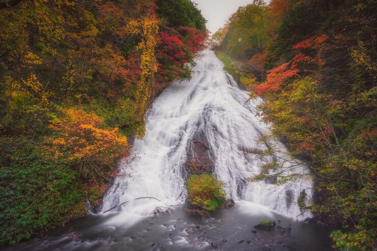 Photo 秋の森のの景色