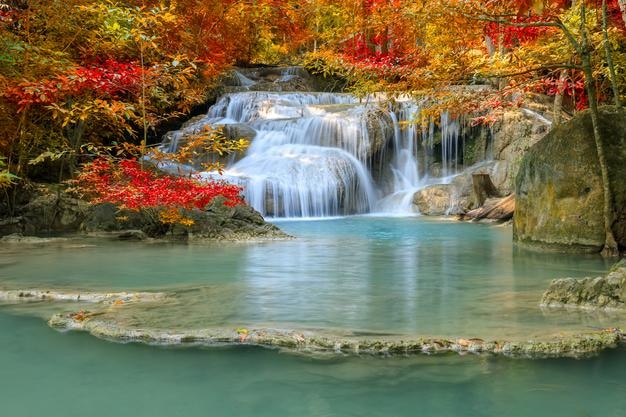 秋の森のの景色