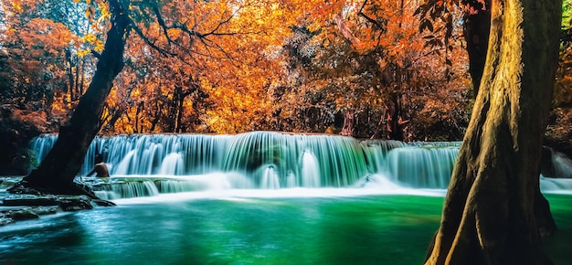 Photo scenic view of waterfall in forest during autumn