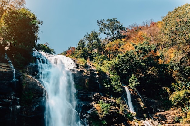 Foto scena panoramica di una cascata nella foresta durante l'autunno