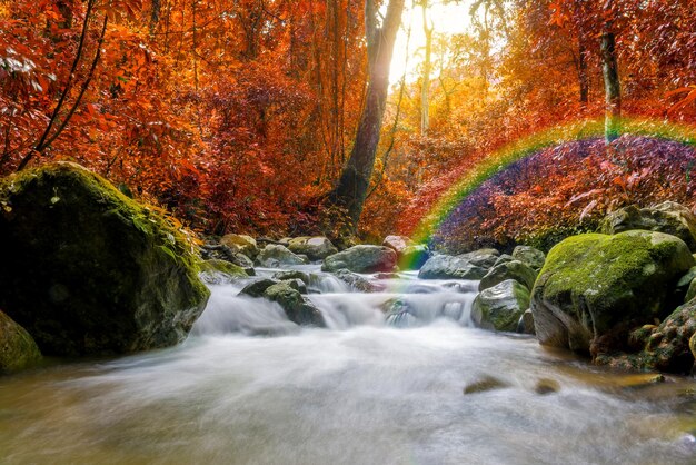 Scenic view of waterfall in forest during autumn