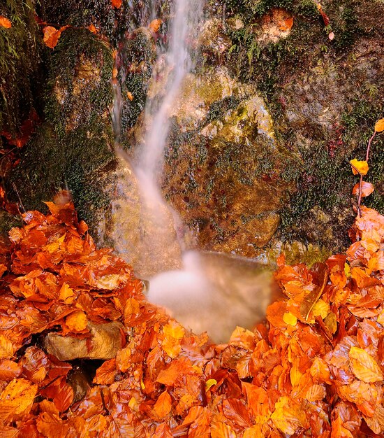 Photo scenic view of waterfall in forest during autumn