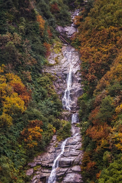 Foto scena panoramica di una cascata nella foresta durante l'autunno