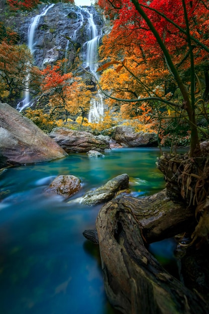 Foto scena panoramica di una cascata nella foresta durante l'autunno