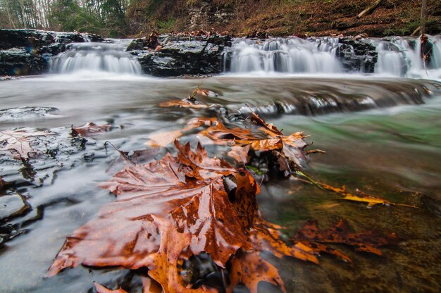 Photo scenic view of waterfall in forest during autumn