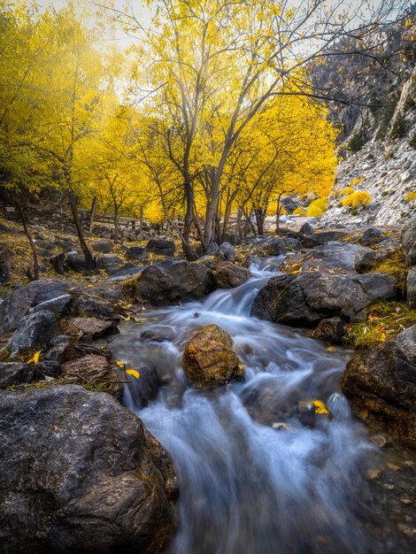 Photo scenic view of waterfall in forest  ii fairy meadows - pakistan