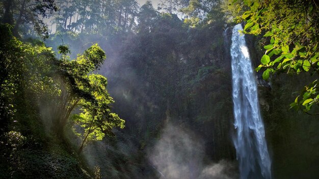 Foto vista panoramica della cascata nella foresta.