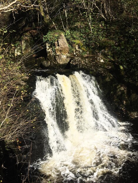 Scenic view of waterfall in forest