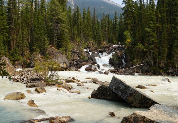 Photo scenic view of waterfall in forest