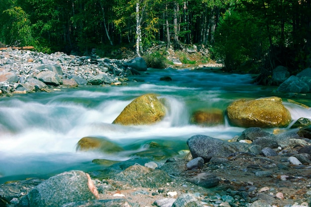 Photo scenic view of waterfall in forest