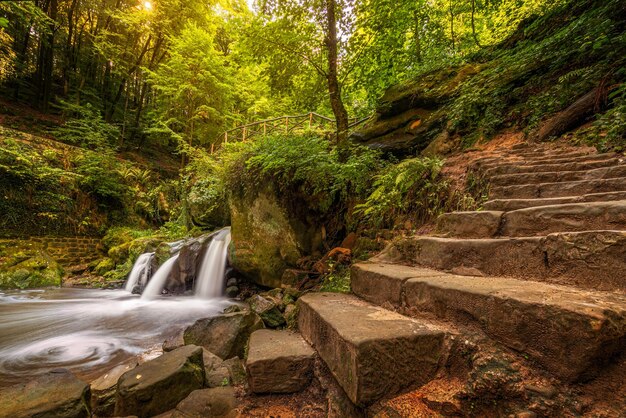 Photo scenic view of waterfall in forest