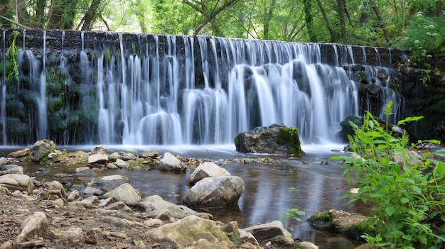 Foto la vista panoramica di una cascata nella foresta