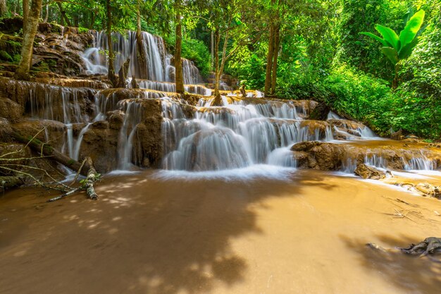 Scenic view of waterfall in forest